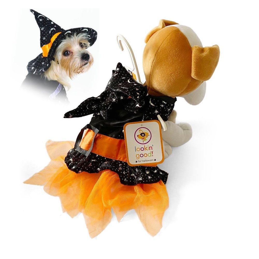 NWT Black & Orange Witch Halloween Costume for Small Dogs